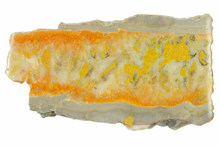 Polished Bumblebee Jasper Slab - Indonesia #338302